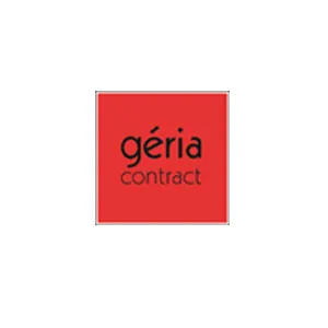 Geria - Développement spécifique flux comptables